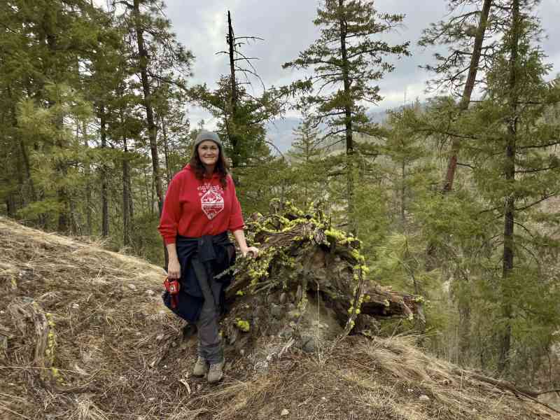 Gallagher's Canyon-Tree of Wisdom