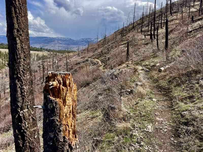 Trepanier Creek Greenway